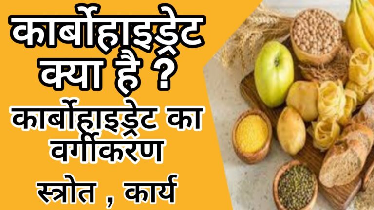 कार्बोहाइड्रेट (Carbohydrate) क्या होते हैं? कार्बोहाइट्रेट का वर्गीकरण, स्रोत