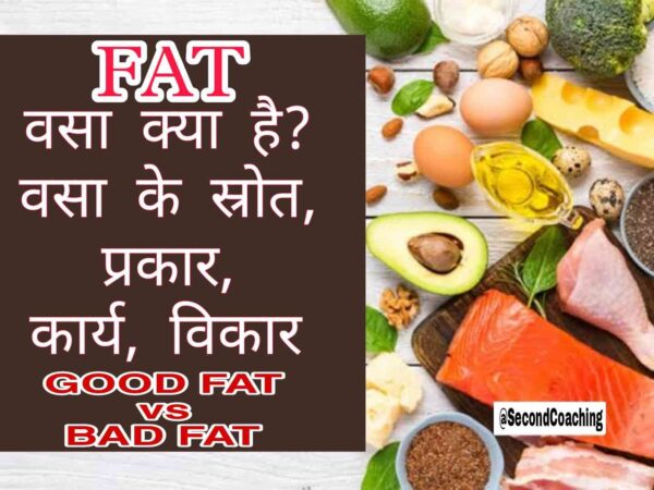 Fat kya Hota hai in hindi – वसा क्या है? वसा के स्रोत, प्रकार, कार्य, विकार