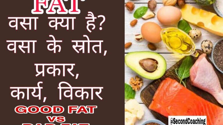 Fat kya Hota hai in hindi – वसा क्या है? वसा के स्रोत, प्रकार, कार्य, विकार