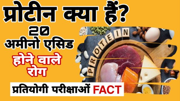 प्रोटीन क्या हैं? Top Fact One liner.
