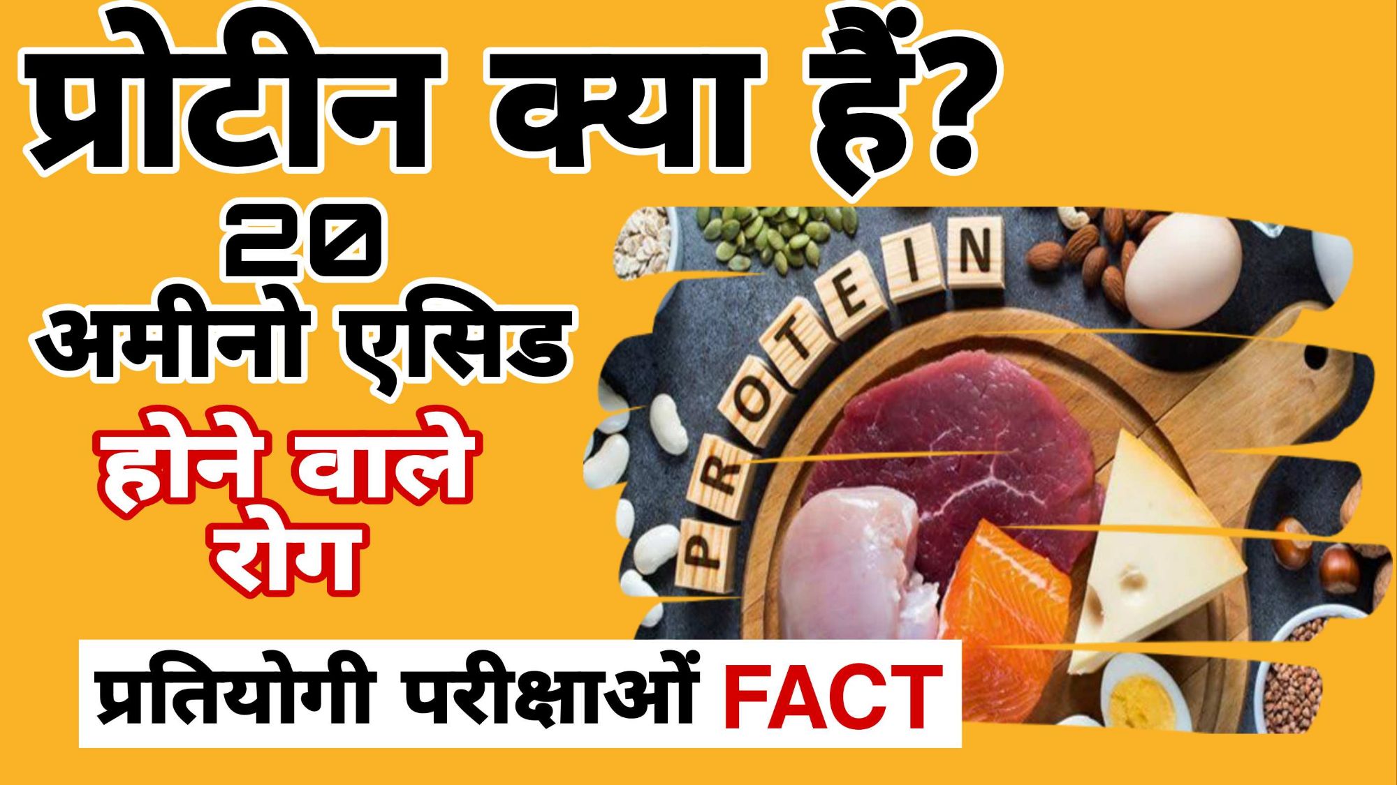 प्रोटीन क्या हैं