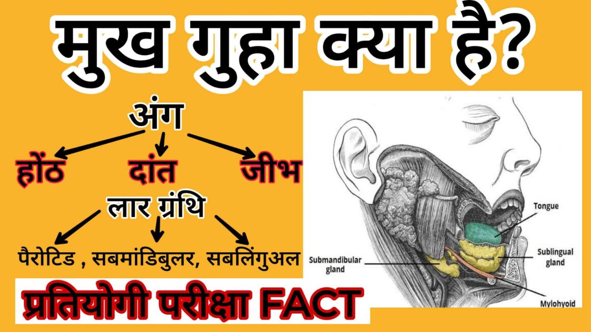 मुख गुहा क्या है