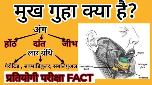 मुख गुहा क्या है? पाचन तंत्र में मुख गुहा का महत्व