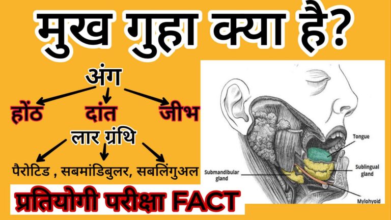 मुख गुहा क्या है? पाचन तंत्र में मुख गुहा का महत्व